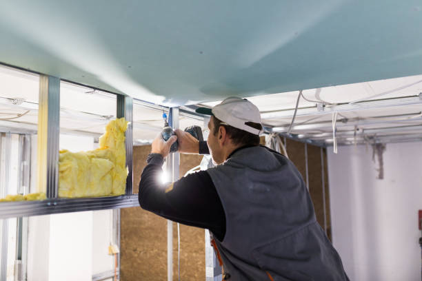 Best Insulation Maintenance and Repair in Pisgah, AL