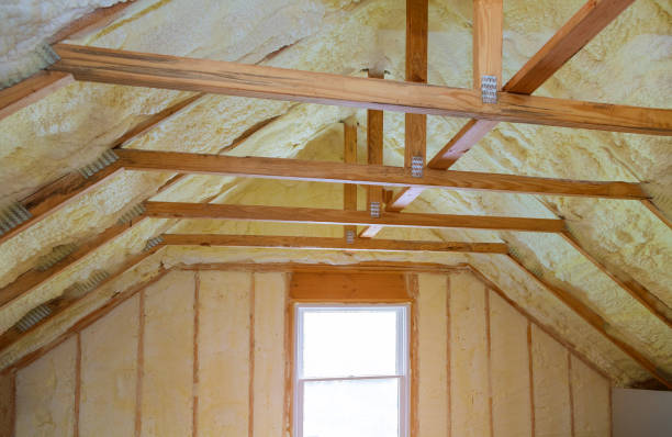 Best Insulation Maintenance and Repair in Pisgah, AL