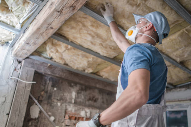 Best Specialty Insulation in Pisgah, AL